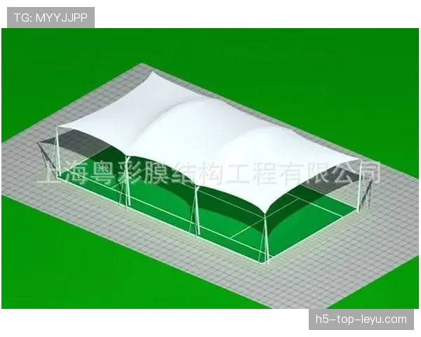 球场临时看台验收合格证申请与公示流程，体育场看台施工方案